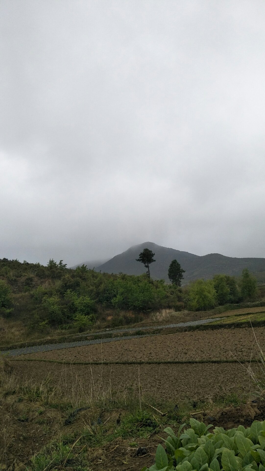 恩堆村天气预报更新通知